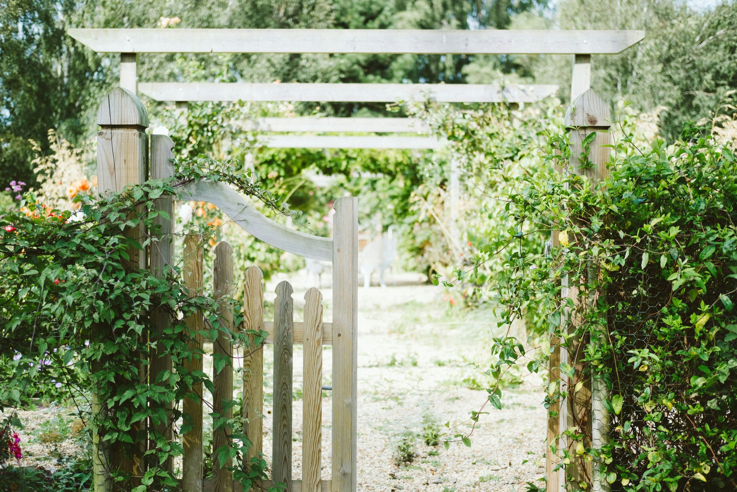 Wooden Fence Covered With Plants